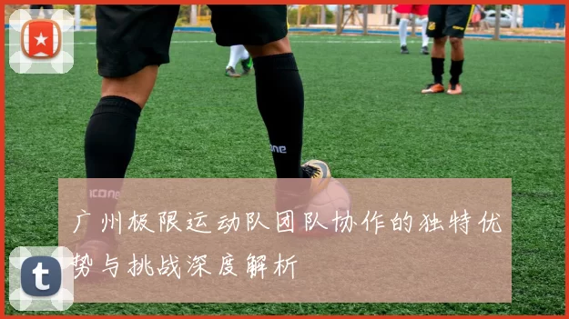广州极限运动队团队协作的独特优势与挑战深度解析