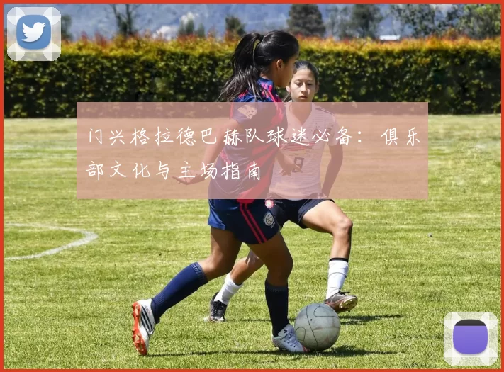 门兴格拉德巴赫队球迷必备：俱乐部文化与主场指南