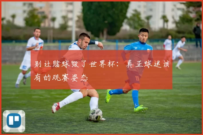 别让赌球毁了世界杯：真正球迷该有的观赛姿态