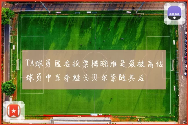 TA球员匿名投票揭晓谁是最被高估球员申京夺魁戈贝尔紧随其后