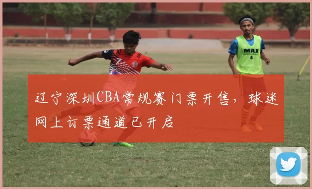 辽宁深圳CBA常规赛门票开售，球迷网上订票通道已开启