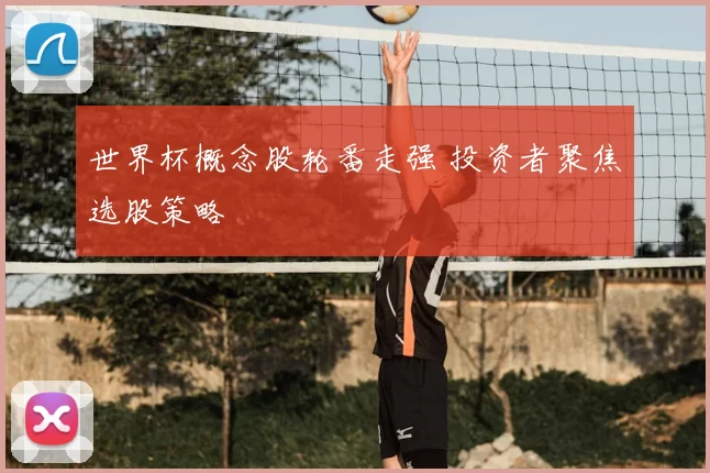 世界杯概念股轮番走强 投资者聚焦选股策略