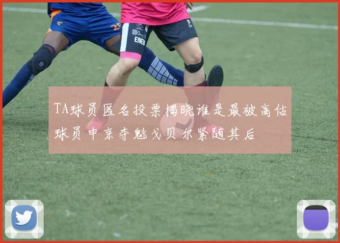 TA球员匿名投票揭晓谁是最被高估球员申京夺魁戈贝尔紧随其后