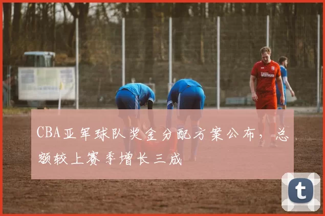 CBA亚军球队奖金分配方案公布，总额较上赛季增长三成