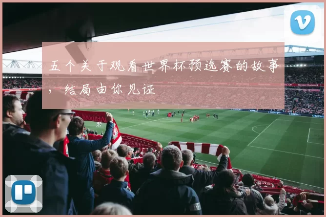 五个关于观看世界杯预选赛的故事,结局由你见证