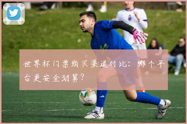 世界杯门票购买渠道对比:哪个平台更安全划算?