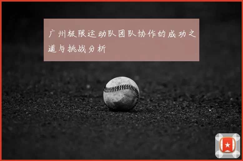 广州极限运动队团队协作的成功之道与挑战分析