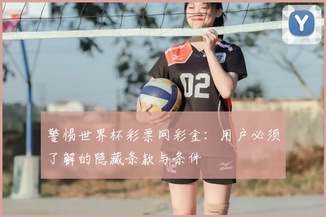 警惕世界杯彩票网彩金：用户必须了解的隐藏条款与条件