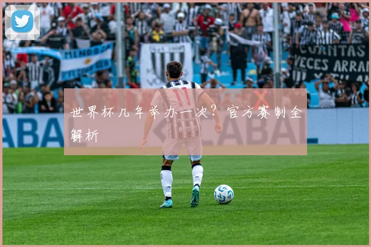 世界杯几年举办一次？官方赛制全解析