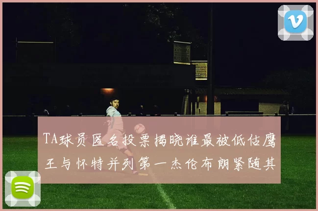 TA球员匿名投票揭晓谁最被低估鹰王与怀特并列第一杰伦布朗紧随其后