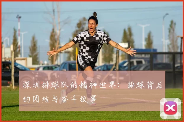 深圳排球队的精神世界：排球背后的团结与奋斗故事
