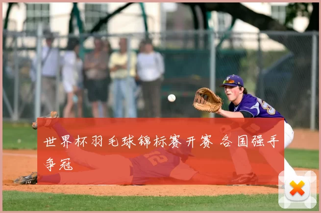 世界杯羽毛球锦标赛开赛 各国强手争冠