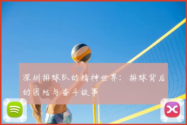深圳排球队的精神世界：排球背后的团结与奋斗故事