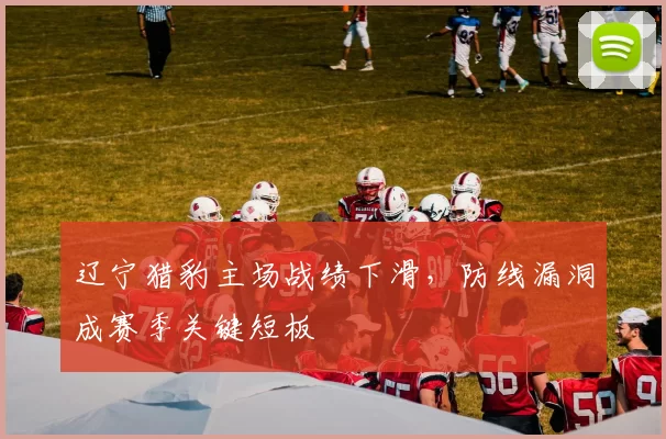 辽宁猎豹主场战绩下滑，防线漏洞成赛季关键短板