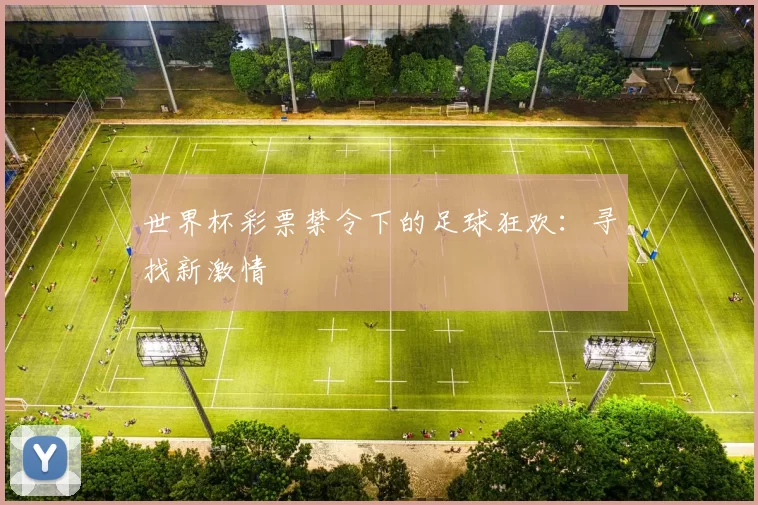 世界杯彩票禁令下的足球狂欢:寻找新激情