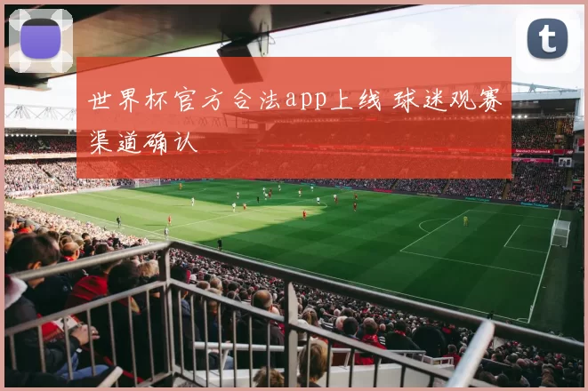 世界杯官方合法app上线 球迷观赛渠道确认