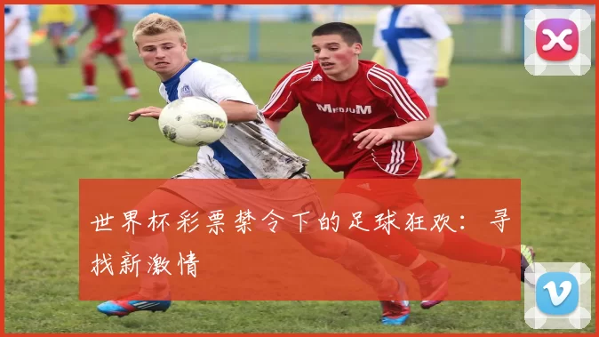 世界杯彩票禁令下的足球狂欢：寻找新激情